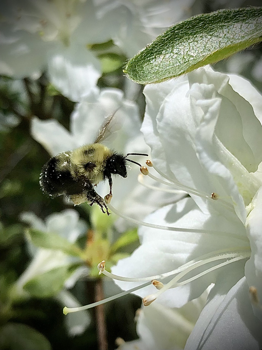 Honed In, photo by Julianna Struck